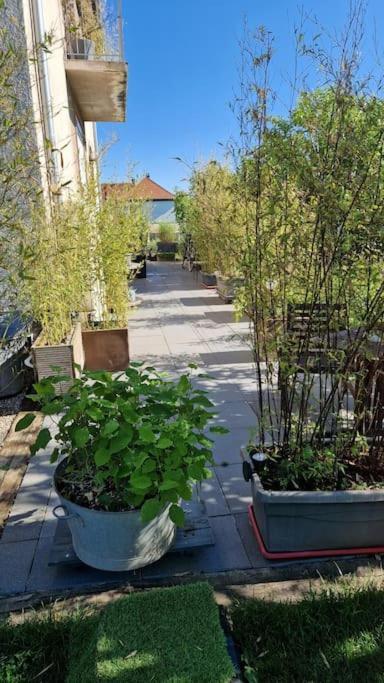 Gite La Passerelle Apartment Ostheim Exterior foto